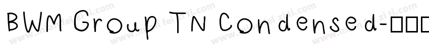 BWM Group TN Condensed字体转换